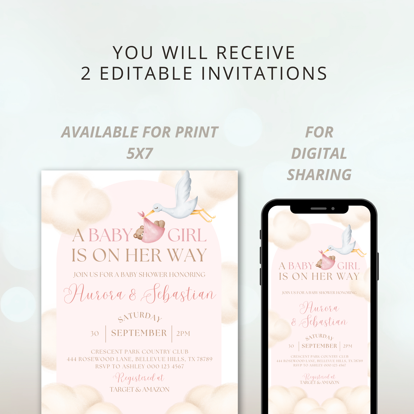 Celebrating Under the Clouds | A Baby Girl is on Her Way | Pink | Cloud Theme Baby Shower Invitation